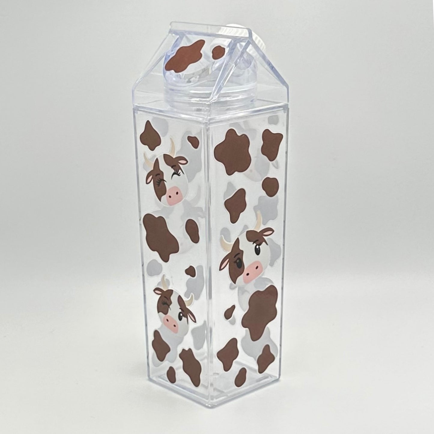 Milk Carton Water Bottle