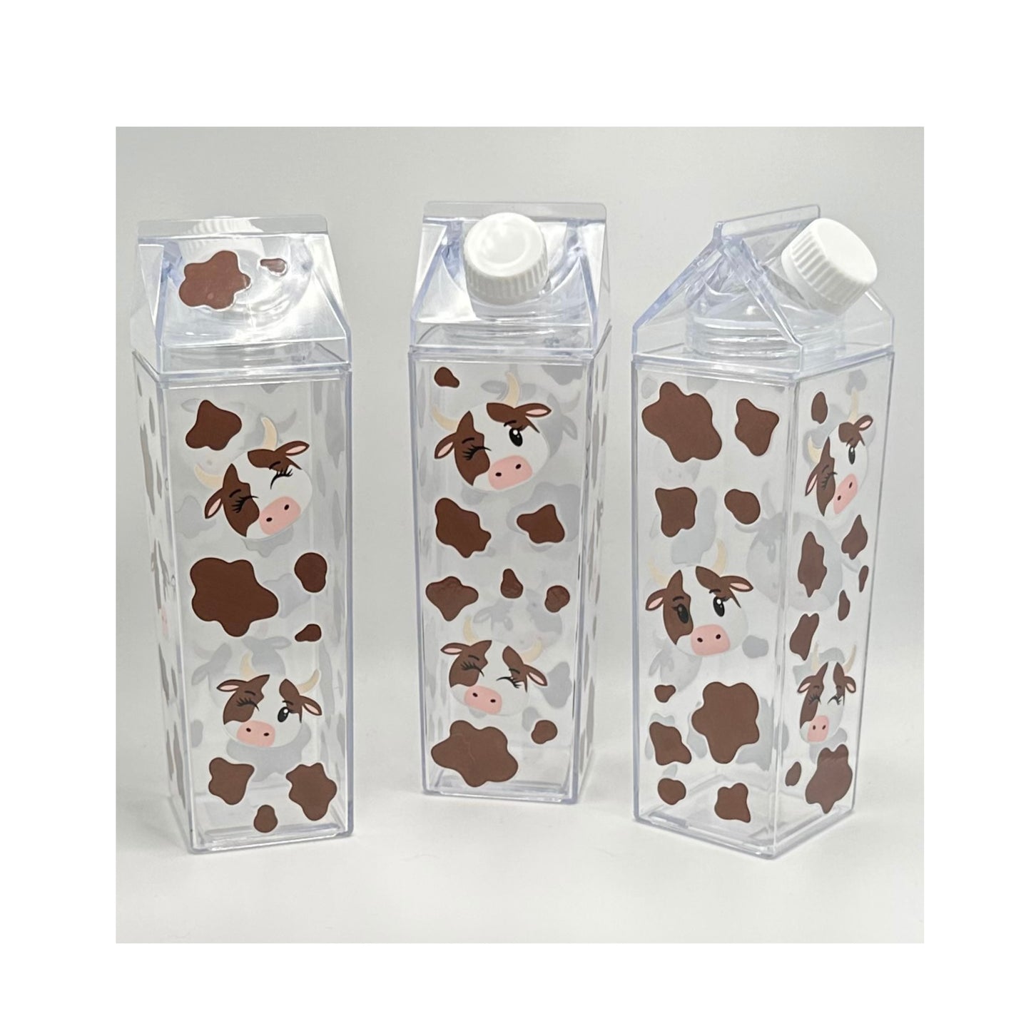 Milk Carton Water Bottle